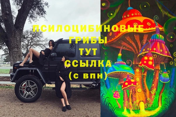 крисы Балабаново