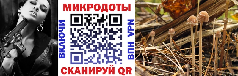 Псилоцибиновые грибы мицелий  Уссурийск 